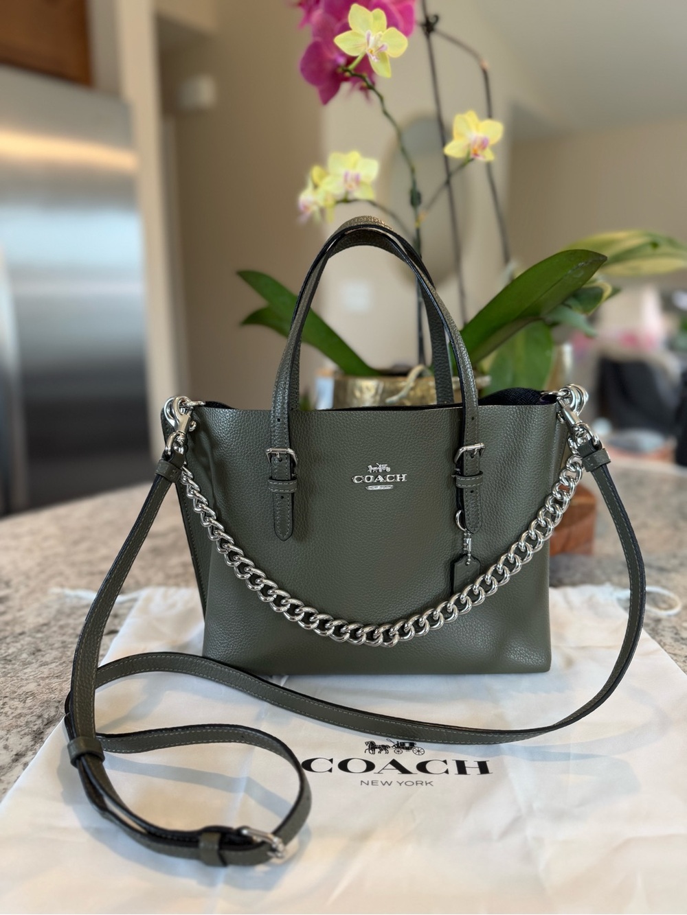 Coach Mollie Tote 25 Military Green Leather Crossbody Bag Style C4084